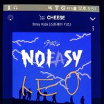 [스키즈] ㅅㄷ) 나 <b>격리</b>당했어...^^