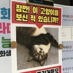 [드루와] <b>성대</b>랑 경희대 중에 너네라면 어디 쓸 것 같아?