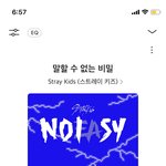 [스키즈] <b>음중</b>