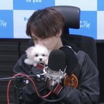 [NCT드림] 대갈이가 이만큼 클때까지 함께햇던 악서가 끝난<b>다니</b>