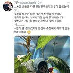 [NCT드림] <b>미틴</b> 개귀욥다…나오면 꼭살래