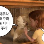 펜하 <b>연말</b>에 각본상 타는거 아니겠지?