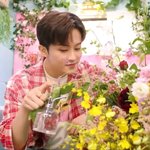 [NCT칠프] 아기꽂<b>집사</b>장님