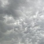 [19] 화이자 맞고 친척분이 돌아가셨어