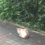 [댓글부탁해] 너네 다이어트 <b>영상</b> 뭐<b>봄</b> 추천해줘!!!!!