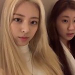 오늘의 동물 <b>긴코</b>원숭이를 소개할게요.