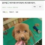 [댓글부탁해] 수시 원서 접수 기간에 애들 다