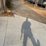 걔 이름 뭐지 판에서 유명한데