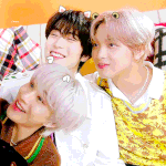 [NCT칠프] <b>보정</b>봐줘ㅠ강아지고양이곰돌이ㄹㅇ