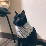 [19] 우리집 밤마다 너무<b>민망</b>해