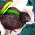 연고티비 하나랑 탁 ㄹㅇ 사겨????