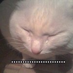 [드루와] 디에<b>타민</b> 먹어본 애들 있냐