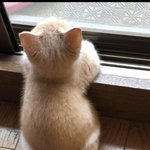 [댓글부탁해] 너네 <b>장래</b>희망 뭐임?