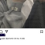 얘 옷 왜 이렇게 <b>입지</b>