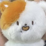 [NCT드림] 아 <b>포켓</b>찌 드뎌 와따