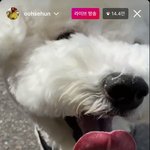 [드루와] 오세훈 <b>비비</b> 인스타 라이브 ㅠㅠ 예뻐