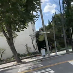 [EXO] <b>비둘기</b> 나만 웃기냐