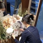 [여자친구] 앙꼬 도둑맞음...