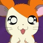 [드루와] 니네 후드티 살때 쭈리로사냐 기모로<b>사냐</b>