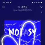 [스키즈] 타팬인데