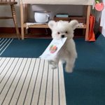[NCT칠프] <b>고</b><b>말</b> 들고오는 태용이