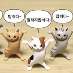 Infp랑 <b>isfp</b> 잘 안맞아?