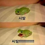 [드루와] 이모랑 사촌 <b>놀러</b>온다는데