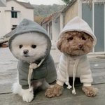 [모두드루와] <b>더비</b>들 들어와봐