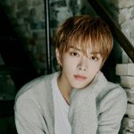 [NCT칠프] 와 나 윹프 아닌데 <b>유타</b> 이번에 레전드야