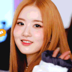 햄<b>토리</b>야