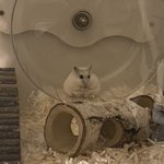 <b>졸라</b> 귀엽지?