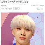 [NCT칠프] 강아지 <b>산책</b> 시켜줘야해?
