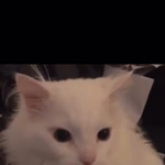 고3인데 지금 <b>놀러</b>다니는 애들은 뭘까