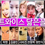트와이스 <b>멤버별</b> 닮은 꼴 모음!