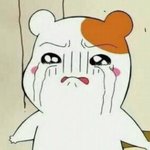 [댓글부탁해] 우리가 일본한테 지고있어!!!!! 팝켓 누르자