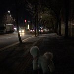 우리 강아지 <b>세</b><b>젤</b><b>예</b>임