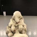 [엔하이픈] <b>행덕</b>하자 엔진들