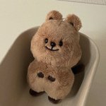 [NCT칠프] 다들 인형 솜뭉치들 자랑좀<b>해조</b>