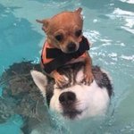 [댓글부탁해] 나 향수모으는데 이중에 향 궁금한 향수 있음 ??