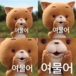 [드루와] 펑<b>티모</b>빠순이들은 아미욕하지마라