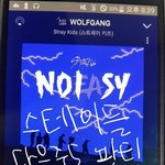 [스키즈] 여러분의 하드 속 <b>용복이</b>를 털어주세요