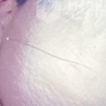 얘들아 포카 <b>하자</b> 이거 어떻게 생각해ㅠㅠ