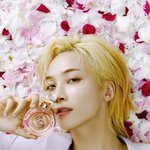 [세븐틴] 인더숲 갔다가 그<b>담날</b> 바로 찍은화보..