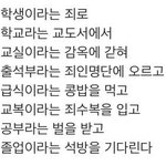 이짤 진짜 <b>개</b><b>쳐</b>웃기네