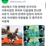 [NCT칠프] 작년에 툥이 <b>올린</b>말
