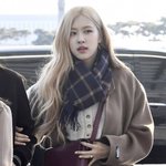 로제 손민수해야징