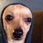 [NCT드림] <b>러디</b>…가지마