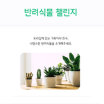 요즘 반려<b>식물</b>로 힐링 중
