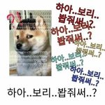 썸남 진짜 바보같음...