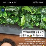 [펜타곤] 쉿! 신원의숲